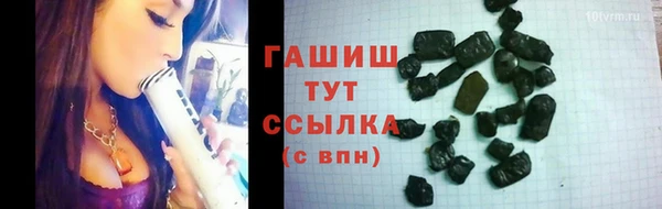 МДПВ Бородино