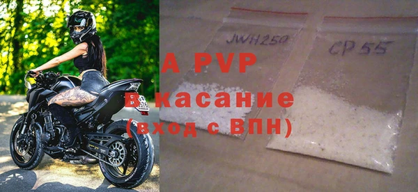 стаф Богородск