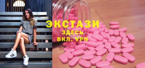 стаф Богородск