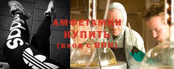 МДПВ Бородино