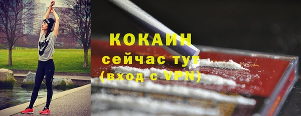 первитин Богородицк