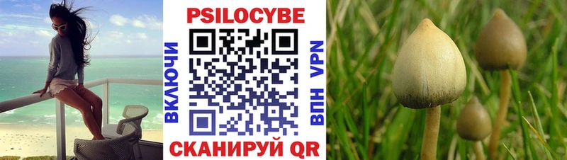 Псилоцибиновые грибы Magic Shrooms Минеральные Воды
